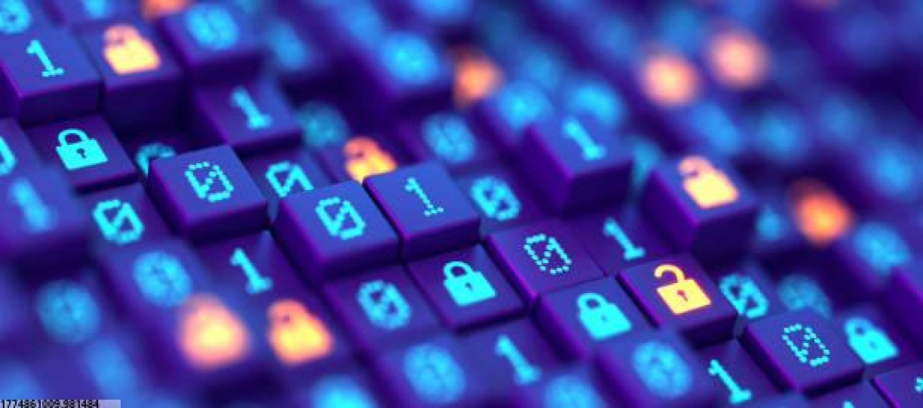 体育视频直播互动